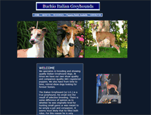 Tablet Screenshot of buchioitaliangreyhounds.com